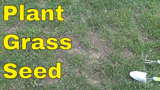 How To Plant Grass SeedFULL Tutorial [upl. by Effie]