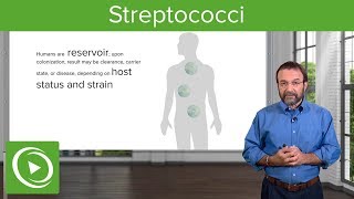 Streptococci – Microbiology  Lecturio [upl. by Nielsen]