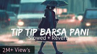 Tip Tip Barsa Pani Slowed amp Reverbed  Mohra  Alka Yagnik amp Udit Narayan  MrMelody [upl. by Dorette]