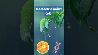 Isoelectric Point pI genomewidestudy [upl. by Nemzzaj246]