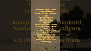 Kiliye Malayalam song arm kiliye malayalamsongs trending [upl. by Nelehyram]