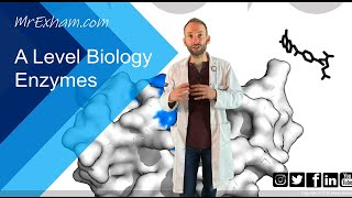 TRANSPORT ACROSS MEMBRANES Alevel Bio Simple amp facilitated diffusion osmosis amp active transport [upl. by Dolphin]