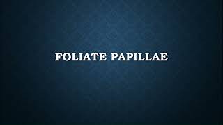 How to Pronounce Foliate Papillae [upl. by Latreece]