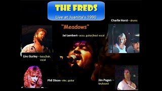 The FREDS Live  quotMeadowsquot Joe Walsh  Juanitas 1990 [upl. by Nylodnewg996]