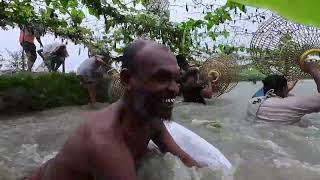 Asian Country Fishing World Awesome Traditional Fishing Festival Of Village And Popular Fish Hunter [upl. by Armyn]