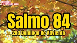 Salmo 84 🙏quotMuéstranos Señor tu misericordia y danos tu salvaciónquot🙏Letra y Acordessalmos adviento [upl. by Ikkaj599]