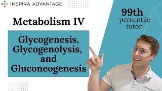 MCAT Bites Metabolism IV Glycogenesis Glycogenolysis and Gluconeogenesis  Inspira Advantage [upl. by Cati646]