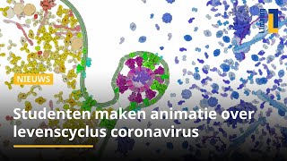 Studenten maken animatie levenscyclus coronavirus [upl. by Atela406]