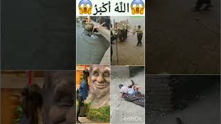 Allah makkah madina🕋🤲 islamicvideo islamic viral shorts islamicstatus [upl. by Idou]