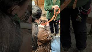 Animal Care visited Exmoor Zoo animals zoo animalcare college education [upl. by Weywadt]