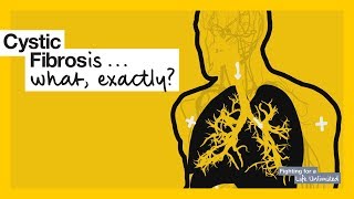 Lungs  How does cystic fibrosis affect the body [upl. by Narcho]