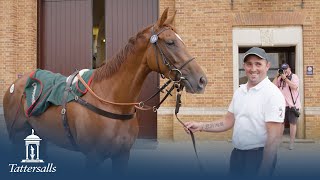 Tattersalls July Sale 2023 Day 1 Review [upl. by Esiralc]