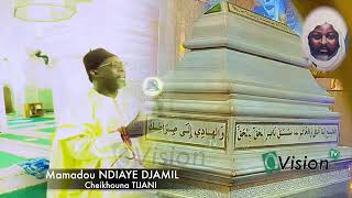 modou ndiaye djamil ou faz chente cheikh ahmed tidiane cherif [upl. by Hekker573]