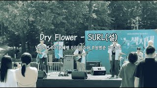 2024 소리나래 대동제 Dry Flower  SURL설 [upl. by Oravla]