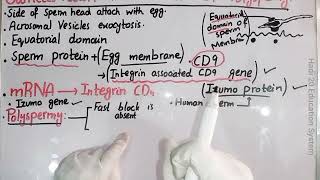 Gamete Fusion And Prevention Of Polyspermy  Ch 4  Lec No 16  Developmental Biology  BS Zoology [upl. by Paten522]