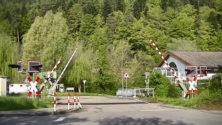 Spoorwegovergang Bad Liebenzell D  Railroad crossing  Bahnübergang [upl. by Ackerley500]