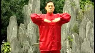 LIANG GONG SHI BA FA XU JI CONTINUAÇÃO I QI GONG [upl. by Nosnaj]