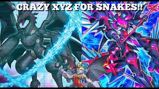 Reptiles With Some Crazy Xyz Combos Reptilianne Ogdoadic GuideDeck Profile  Yugioh Master Duel [upl. by Ahcas]