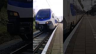 Treinen op station Wolfheze Blauwe neus Flirt sprinter vertrekt naar Ede  Wagingen [upl. by Cherian]