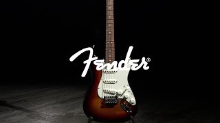 Fender Standard Strat Pau Ferro Brown Sunburst  Gear4music demo [upl. by Aidul623]