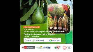 Elaboración de trampas caseras y cebos tóxicos en Omate Moquegua 26032024 [upl. by Rena]