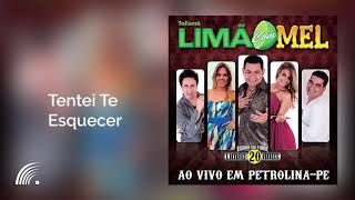 Limão Com Mel  Tentei te Esquecer  Ao Vivo Em Petrolina [upl. by Enitnelav]