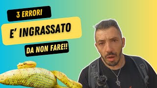 SERPENTI GRASSI 3 errori da NON FARE [upl. by Grati]