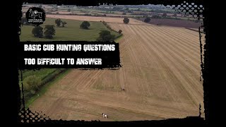 Basic cub hunting questions too difficult to answer [upl. by Kotick]