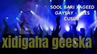 XIDIGAHA GEESKA SOOL BARI XAGEED GAYSAY  HEES CUSUB 2024 [upl. by Uball]