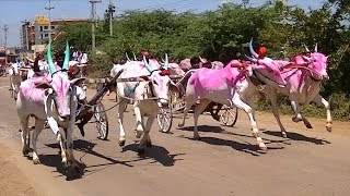 Kudubandi bullock cart race at Yadawad [upl. by Enilreug557]