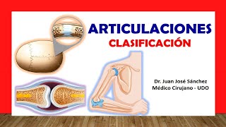 🥇 ARTICULACIONES Clasificación Fácil Rápida y Sencilla [upl. by Cello630]