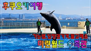 후쿠오카여행 마린월드 가는법입장료돌고래쇼수족관영상 [upl. by Shelburne875]