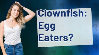 Is it true that clownfish eat their own eggs [upl. by Merri]