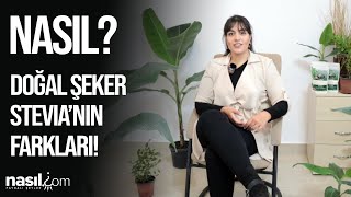 CANAN KARATAY STEVIAYI ŞEKER OTU BİTKİSİ ÖNERİYOR MU canankaratay stevia şeker doğal [upl. by Tolkan]