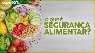 O QUE É SEGURANÇA ALIMENTAR [upl. by Bethany461]