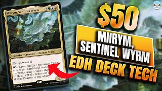 Dragon Deez Cards Across Your Mat  Miirym Sentinel Wyrm  Budget Dragon EDH Deck Tech [upl. by Koslo405]