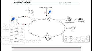 Synthesis Workshop Dual PhotoredoxNickel Catalysis with Sebastian Gisbertz Episode 28 [upl. by Aivul]