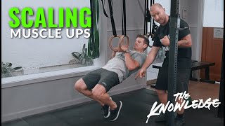 How to Scale Muscle Ups [upl. by Ignatzia]