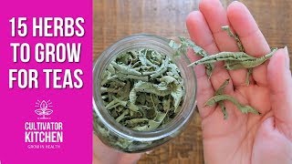 15 Herbs I Grow for Teas Frugal Healthy Living 🌿 [upl. by Hsiwhem]