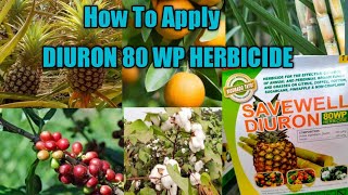 How To Apply Diuron 80 WP Herbicide [upl. by Karr]