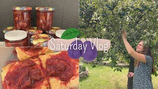 Saturday Vlog Zwetschgen einmachen süße Rezeptidee mit Zwetschgen [upl. by Yrekaz]