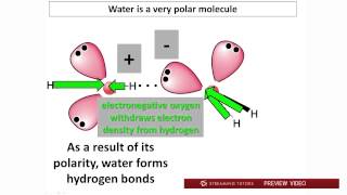 Biochemistry Water PH and Buffers Part 1 tutorial [upl. by Nlyak22]