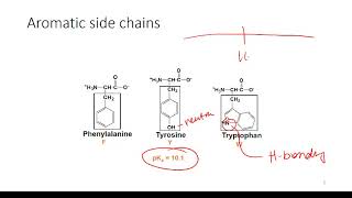 Determining Protonation State of Amino Acids [upl. by Aicire]