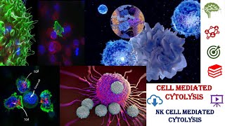 NK cell mediated cytolysis cell mediated cytolysis cell mediated immunity Immunology [upl. by Driscoll]