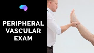 Peripheral Vascular Examination  OSCE Guide Latest  UKMLA  CPSA [upl. by Viehmann343]