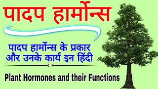 पादप हार्मोन्स  पादप हार्मोन के कार्य और खोजकर्ता  Plant Hormones  Types and function of Hormones [upl. by Lienhard]