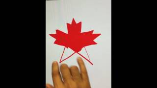 Live Drawing Canadian Maple Leaf for Canada Day [upl. by Nosna432]