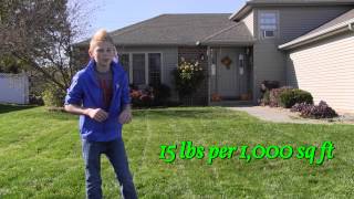 Fall Lawn Recovery Program Steps 2 and 3 [upl. by Hamburger720]