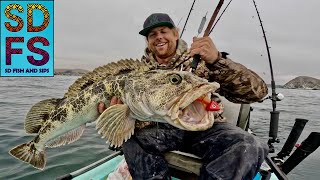 Personal Best Lingcod  Solo Skiff Fishing Central California Morro Bay Candy Bar Scrimpz SDFS [upl. by Kissee]