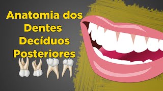 Anatomia dos Dentes Decíduos Posteriores – Molares Superiores e Inferiores  Aula de Anatomia Dental [upl. by Naerda96]